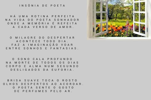 Insônia de Poeta