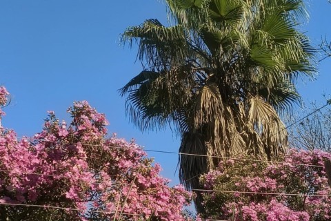 VERSO DO DIA