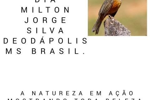 VERSO DO DIA