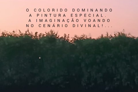 VERSO DO DIA
